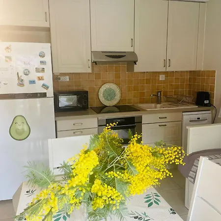 Ground Floor With Garden Le Lavandou