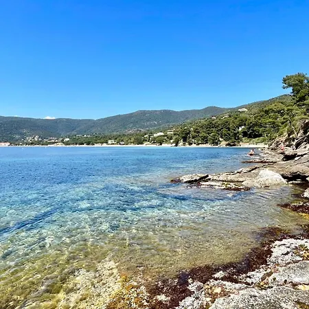 Apartment Ground Floor With Garden Le Lavandou